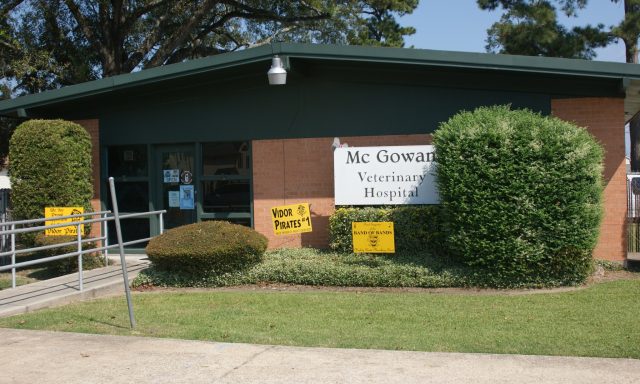 McGowan Veterinary Hospital